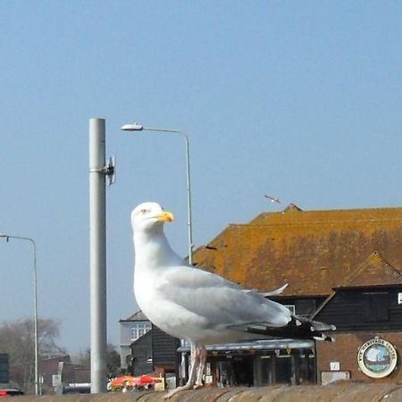 Seaview Cottage Rye Esterno foto