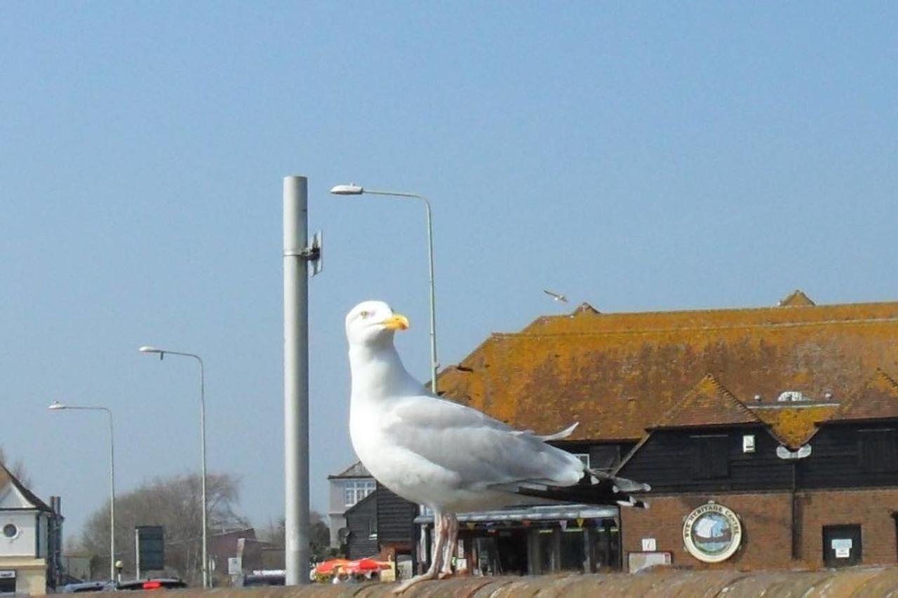 Seaview Cottage Rye Esterno foto